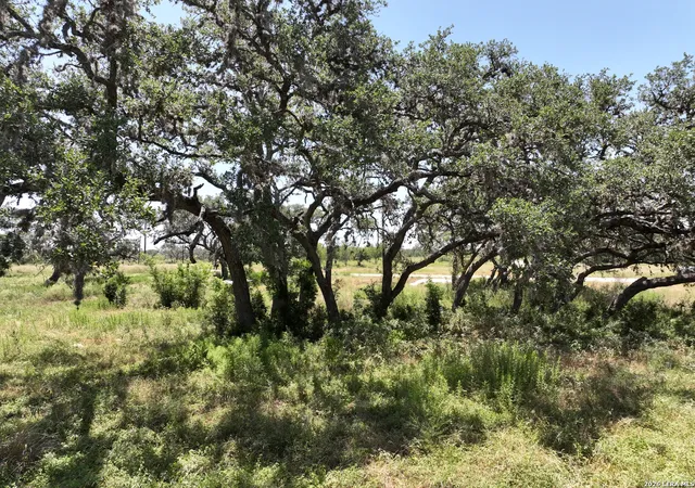 3rd image of 182 Grand Oaks, Hondo, TX 78861 | MLS# 1999358
