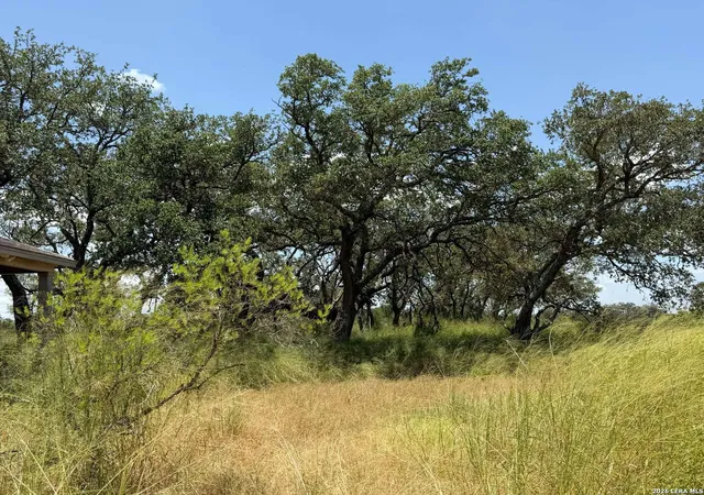 1st image of 380 County Road 6723, Natalia, TX 78059 | MLS# 1999370