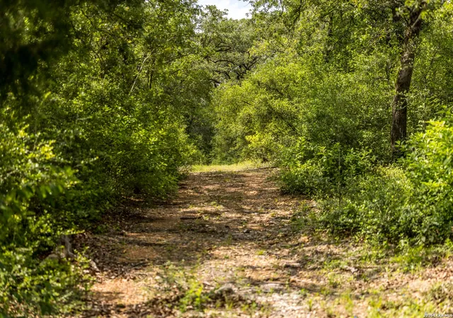 Photo 4 of House for sale at 1324 Private Road 4055, Lexington, TX 78947 | MLS# 1999392 | Listing updated on 2026-07-21