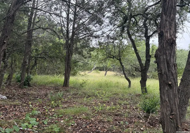 Photo 3 of Land for sale at 197 Rosenberry, Bulverde, TX 78163 | MLS# 1999479 | Listing updated on 2026-10-09