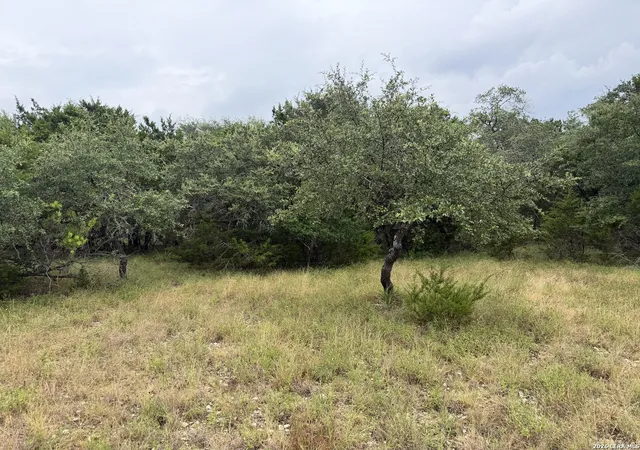 Land for sale at 197 Rosenberry, Bulverde, TX 78163 | MLS# 1999479