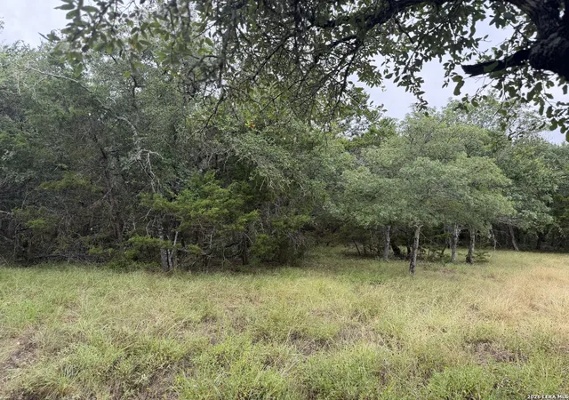 Photo 2 of Land for sale at 197 Rosenberry, Bulverde, TX 78163 | MLS# 1999479 | Listing updated on 2026-10-09