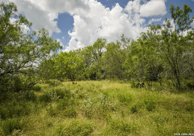 33rd image of 5616 Fm 1117, Seguin, TX 78155 | MLS# 1999603