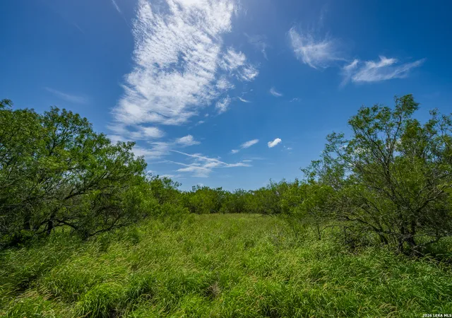 Photo 2 of Land for sale at Tbd State Hwy 16, Freer, TX 78357 | MLS# 1999618 | Listing updated on 2026-07-22