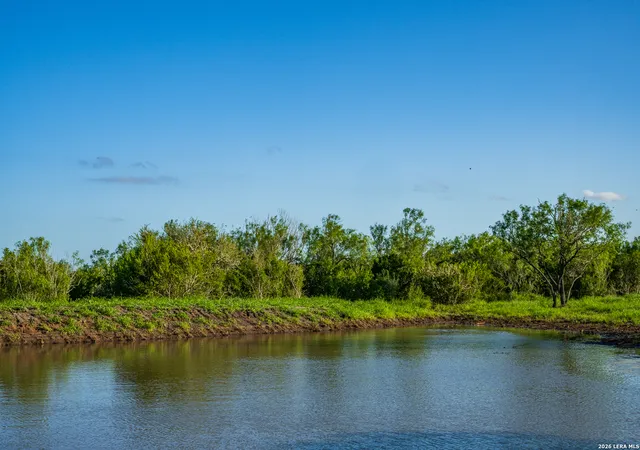 Photo 3 of Land for sale at Tbd State Hwy 16, Freer, TX 78357 | MLS# 1999618 | Listing updated on 2026-07-22