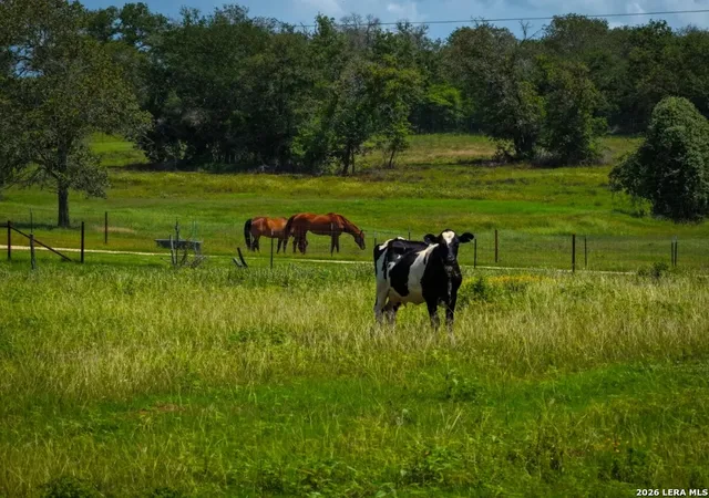 Photo 3 of Land for sale at 000 Cr 259, Gonzales, TX 78629 | MLS# 1999639 | Listing updated on 2026-07-22