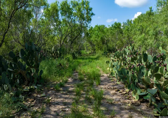 3rd image of 000 Cr 241, Three Rivers, TX 78071 | MLS# 1999663