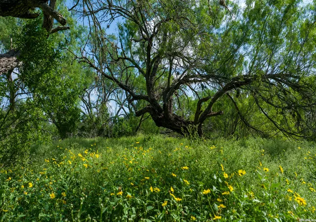 5th image of 000 Cr 241, Three Rivers, TX 78071 | MLS# 1999663