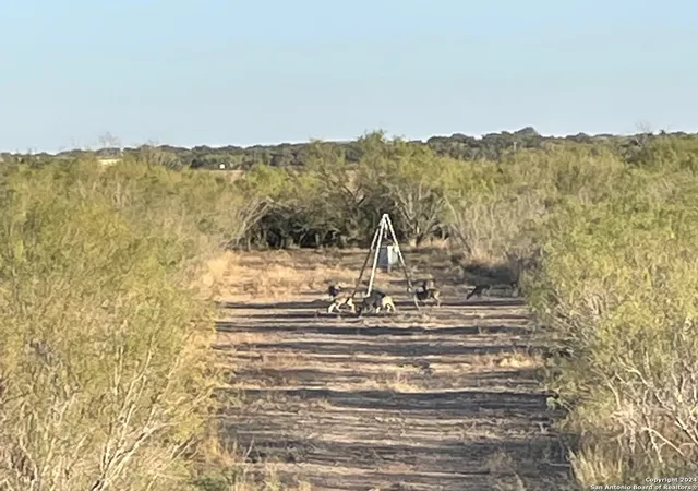 5th image of 593 Fm 481, Uvalde, TX 78801 | MLS# 1999750