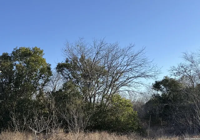 Photo 1 of Sale Pending at 206 Dulce St, San Antonio, TX 78228 | MLS# 1999765 | Listing updated on 2026-08-23