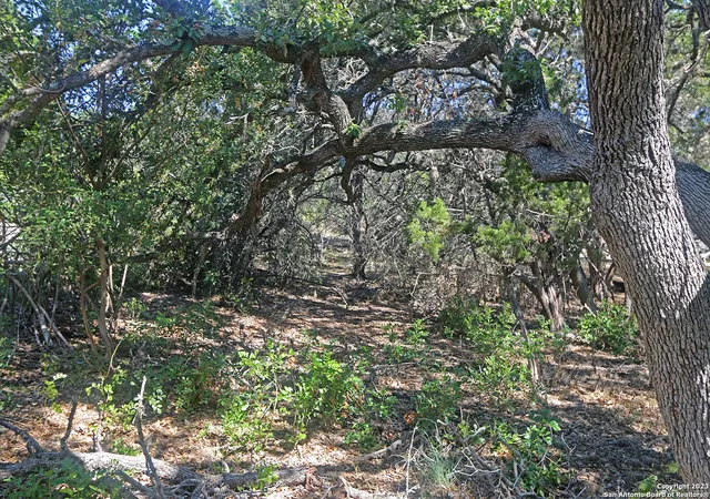 5th image of 1118 Stagecoach Dr, Canyon Lake, TX 78133 | MLS# 1999774