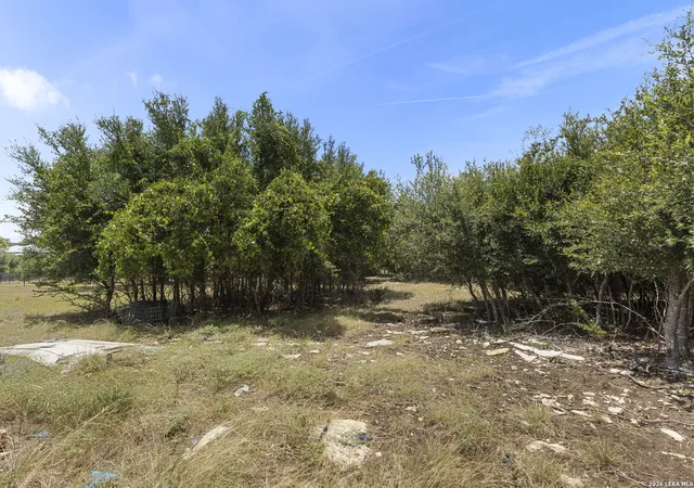 11th image of 229 Roy Nichols, Blanco, TX 78606 | MLS# 1999888