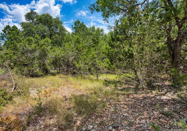 19th image of 28380 Timberline Dr, San Antonio, TX 78260 | MLS# 1999952