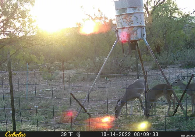 20th image of 21 N High Lonesome Ranch, Carrizo Springs, TX 78837 | MLS# 2000000