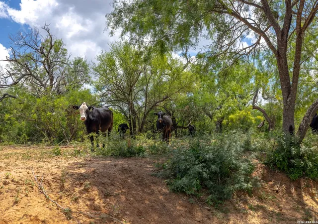 11th image of 0 Fm 462, Hondo, TX 78861 | MLS# 2000090