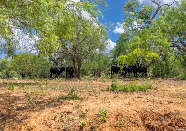 Photo 4 of Land for sale at 0 Fm 462, Hondo, TX 78861 | MLS# 2000090 | Listing updated on 2026-07-25