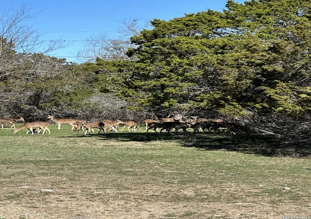 1st image of 0 Deerwood, Bandera, TX 78003 | MLS# 2000452