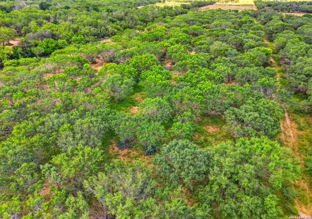 5th image of Tract A S Tract A S Loop 1604 E, Floresville, TX 78114 | MLS# 2000859