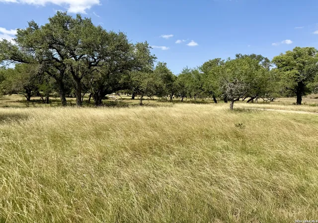 1st image of 43 Acres Sattler Rd, Spring Branch, TX 78070 | MLS# 2001043