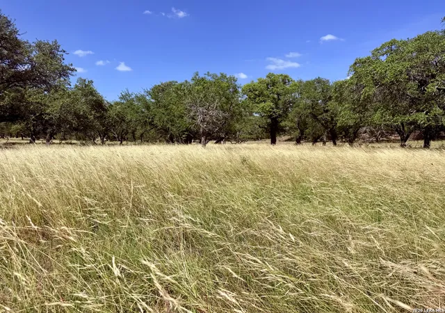 42nd image of 43 Acres Sattler Rd, Spring Branch, TX 78070 | MLS# 2001043