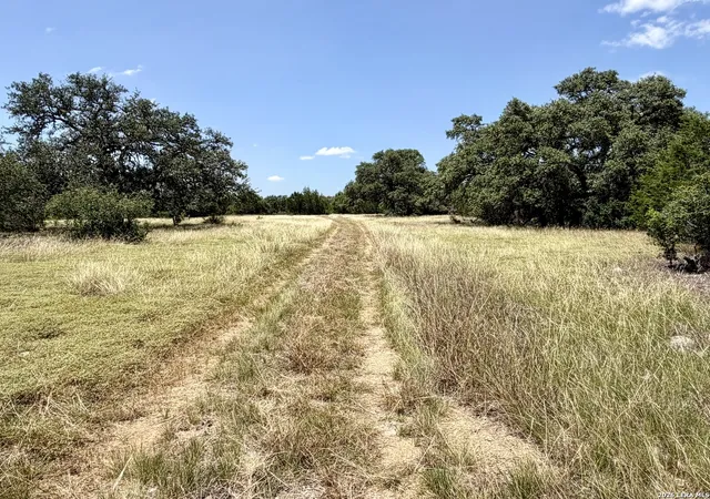 5th image of 43 Acres Sattler Rd, Spring Branch, TX 78070 | MLS# 2001043