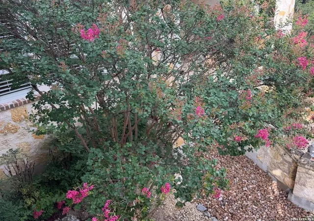 Photo 4 of Single family home for sale at 14535 Chinquapin, Helotes, TX 78023 | MLS# 2001145 | Listing updated on 2026-08-15