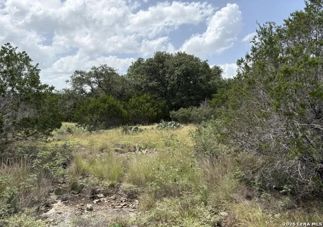 Photo 3 of Land for sale at 358 (Lot 1241) Toucan Dr, Spring Branch, TX 78070 | MLS# 2001306 | Listing updated on 2026-09-25