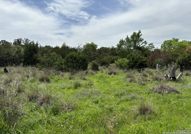1st image of 431 Acres Walnut Grove Rd, Boerne, TX 78006 | MLS# 2001391