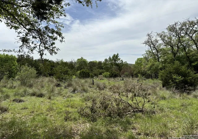2nd image of 431 Acres Walnut Grove Rd, Boerne, TX 78006 | MLS# 2001391