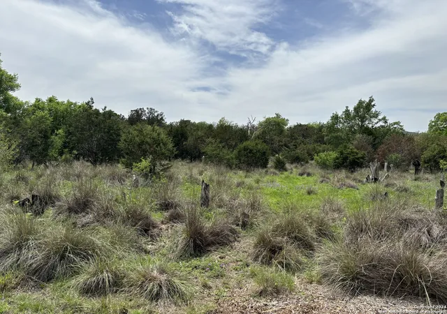 4th image of 431 Acres Walnut Grove Rd, Boerne, TX 78006 | MLS# 2001391