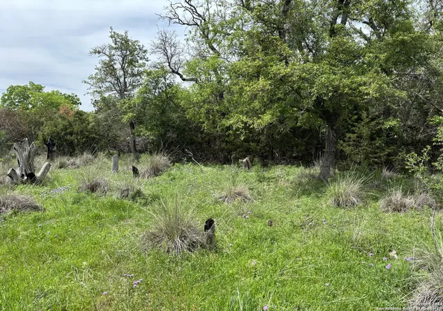 5th image of 431 Acres Walnut Grove Rd, Boerne, TX 78006 | MLS# 2001391