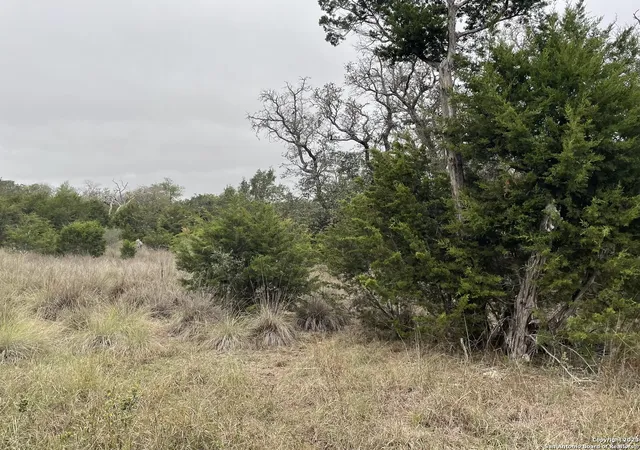 9th image of 431 Acres Walnut Grove Rd, Boerne, TX 78006 | MLS# 2001391