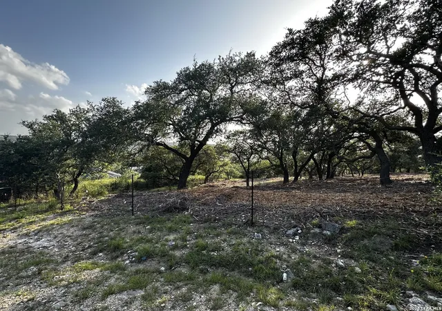 4th image of 8013 Kenilworth, Spring Branch, TX 78070 | MLS# 2001501