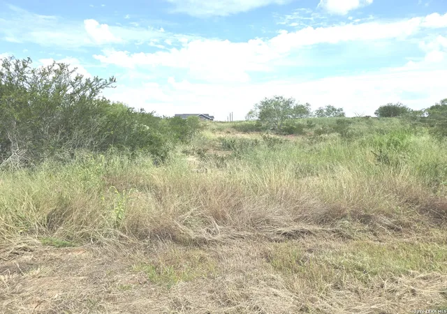 1st image of 115 County Road 2666, Devine, TX 78016 | MLS# 2001514