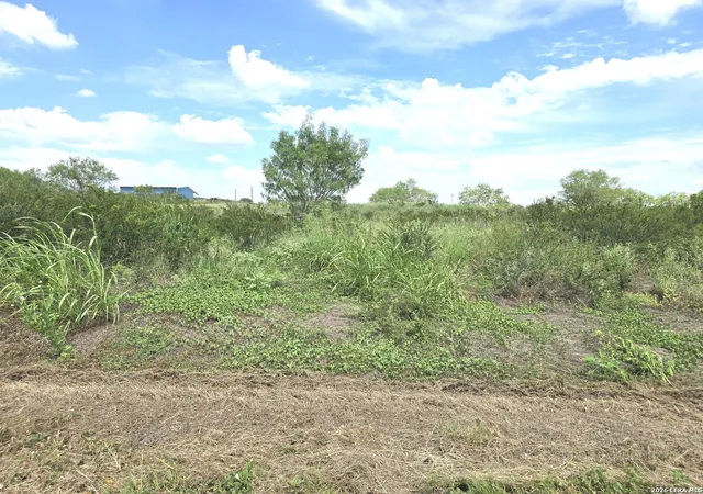 4th image of 115 County Road 2666, Devine, TX 78016 | MLS# 2001514