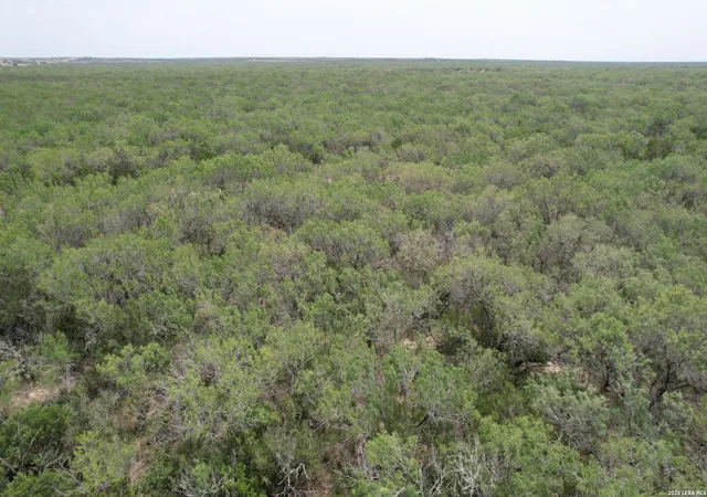 Photo 3 of Land for sale at 0 Hwy 359, Benavides, TX 78341 | MLS# 2001781 | Listing updated on 2026-09-09