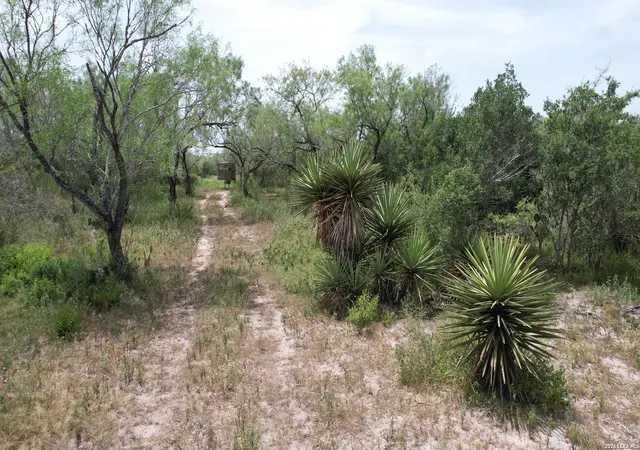 Photo 3 of House for sale at 0 Hwy 359, Benavides, TX 78341 | MLS# 2001781 | Listing updated on 2026-09-09