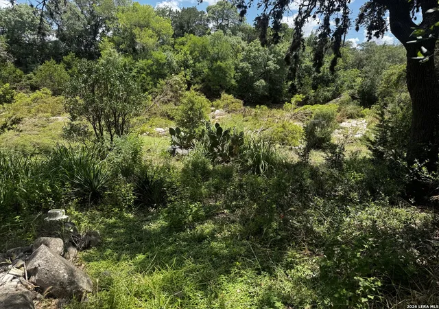 4th image of 9317 Park Road 37, Lakehills, TX 78063 | MLS# 2002004