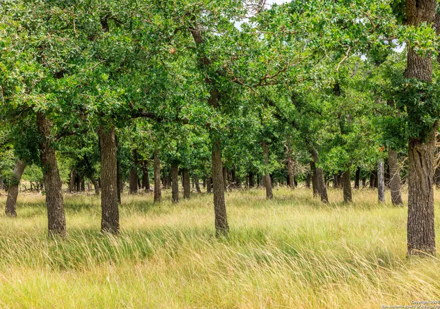 45th image of 11453 N Us Hwy 87, Fredericksburg, TX 78624 | MLS# 2002008