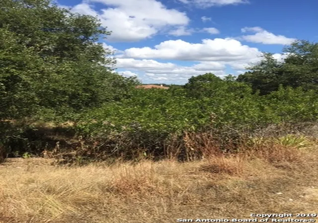 Photo 3 of Land for sale at 318 Gallagher Dr, Canyon Lake, TX 78133 | MLS# 2002025 | Listing updated on 2026-08-01
