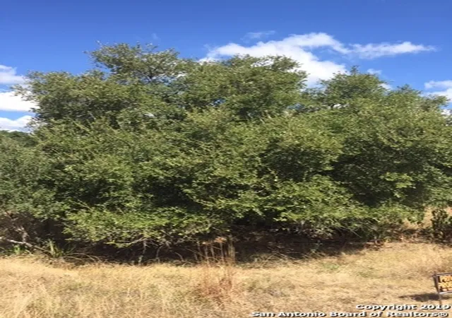 Photo 4 of Land for sale at 318 Gallagher Dr, Canyon Lake, TX 78133 | MLS# 2002025 | Listing updated on 2026-08-01
