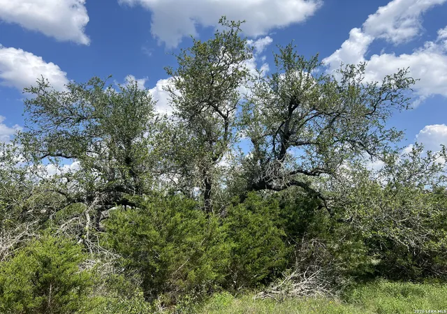 2nd image of 636 Rock Trail Pl, Spring Branch, TX 78070 | MLS# 2002138