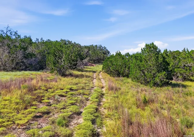 Photo 3 of Land for sale at 783 Tiswin Trl, Blanco, TX 78606 | MLS# 2002247 | Listing updated on 2026-08-02