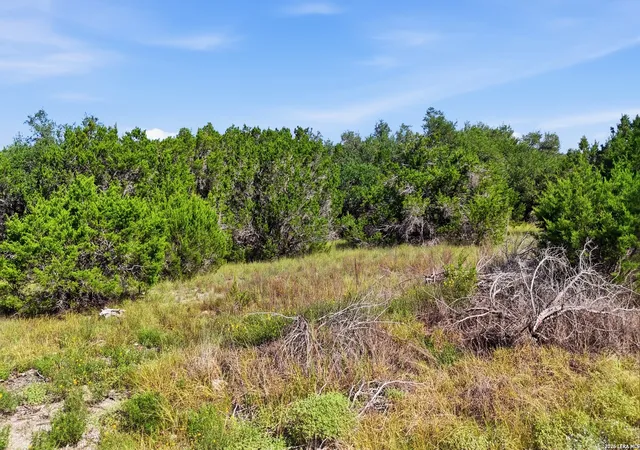 Photo 4 of Land for sale at 783 Tiswin Trl, Blanco, TX 78606 | MLS# 2002247 | Listing updated on 2026-08-02