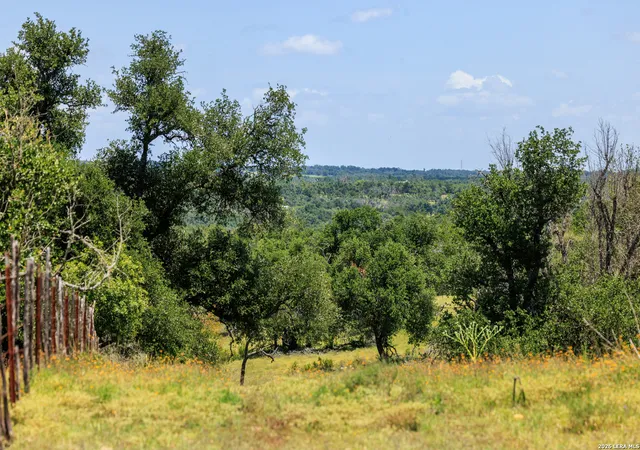 3rd image of 2656 Meier Road, Fredericksburg, TX 78624 | MLS# 2002302