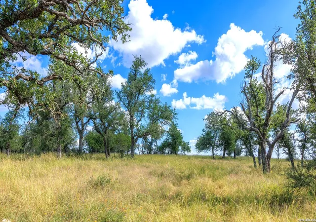 39th image of 2656 Meier Road, Fredericksburg, TX 78624 | MLS# 2002302