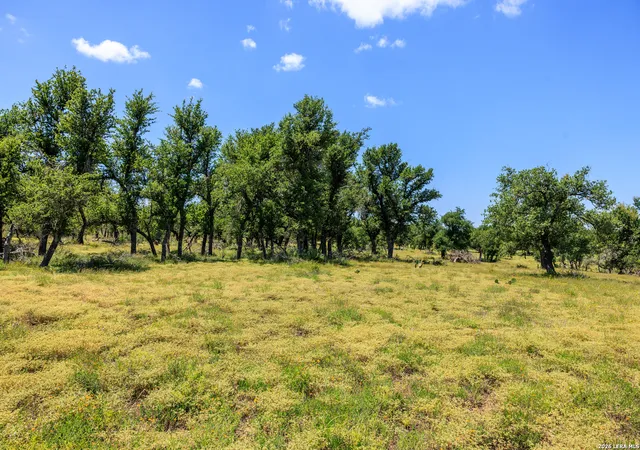 4th image of 2656 Meier Road, Fredericksburg, TX 78624 | MLS# 2002302