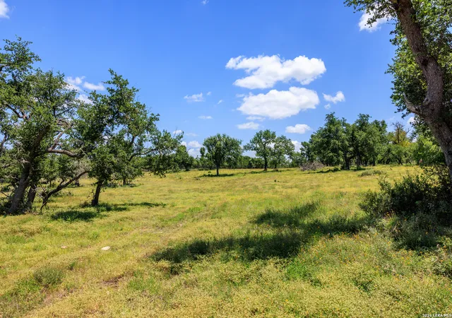 5th image of 2656 Meier Road, Fredericksburg, TX 78624 | MLS# 2002302