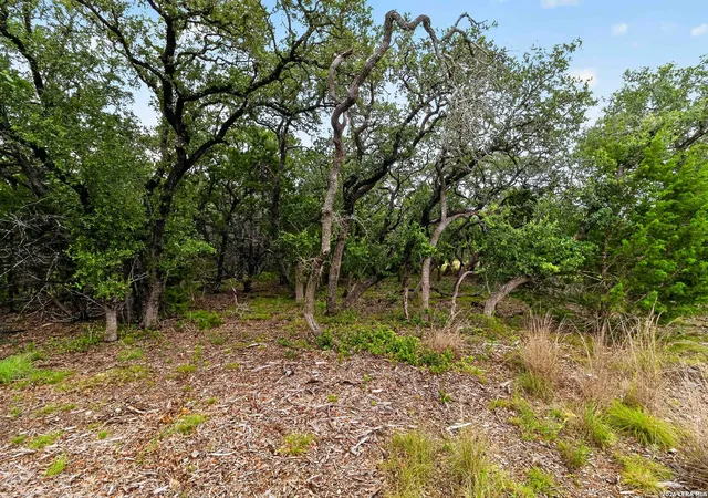 Photo 3 of Land for sale at 34893 Thanksgiving Trl, Bulverde, TX 78163 | MLS# 2002311 | Listing updated on 2026-09-17