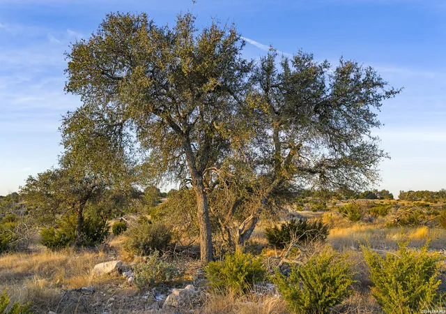 Photo 3 of Land for sale at 000 Kc 442, Harper, TX 78631 | MLS# 2002392 | Listing updated on 2026-08-02